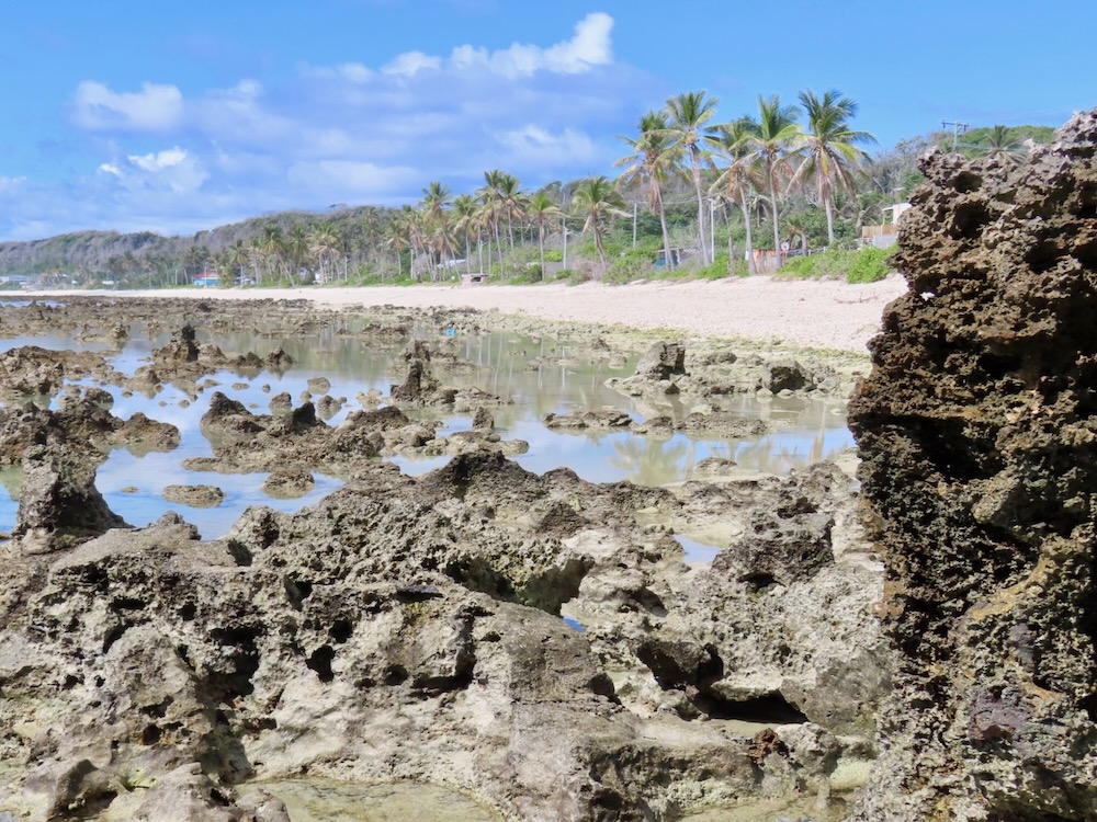 Beach and limestone rocks in Nauru